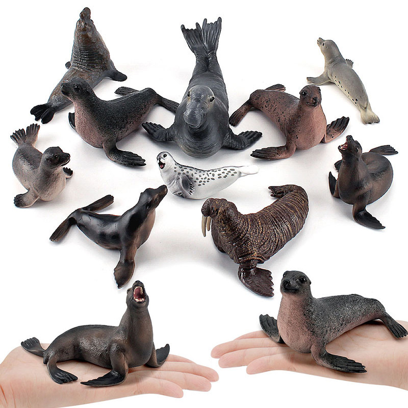 Simulation Ocean Animal Seals  - Marine Life Aquariums review and price