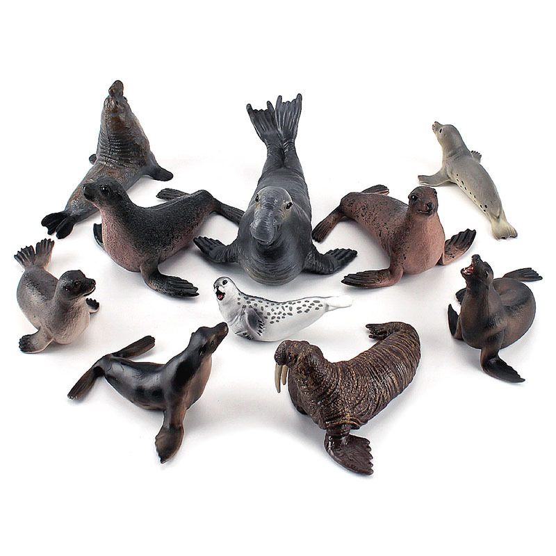 Simulation Ocean Animal Seals  - Marine Life Aquariums review and price