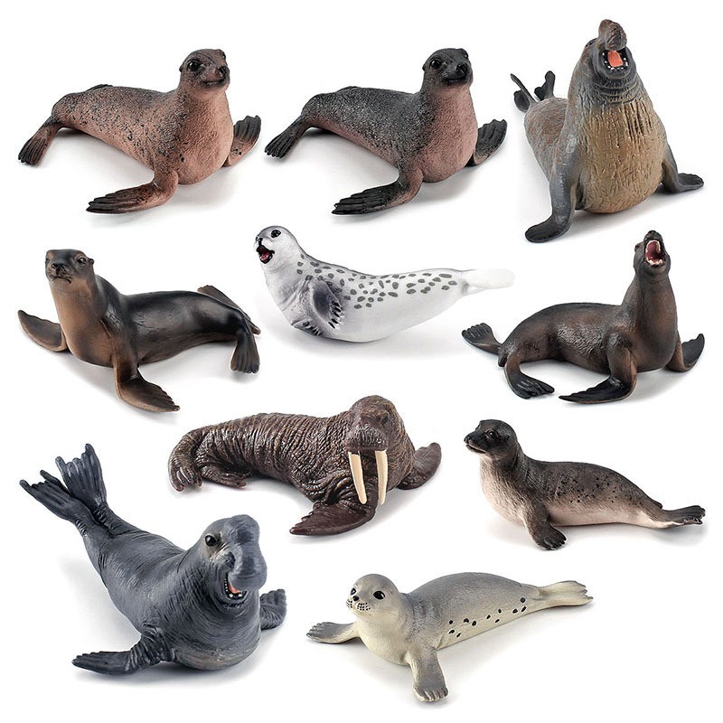 Simulation Ocean Animal Seals  - Marine Life Aquariums review and price