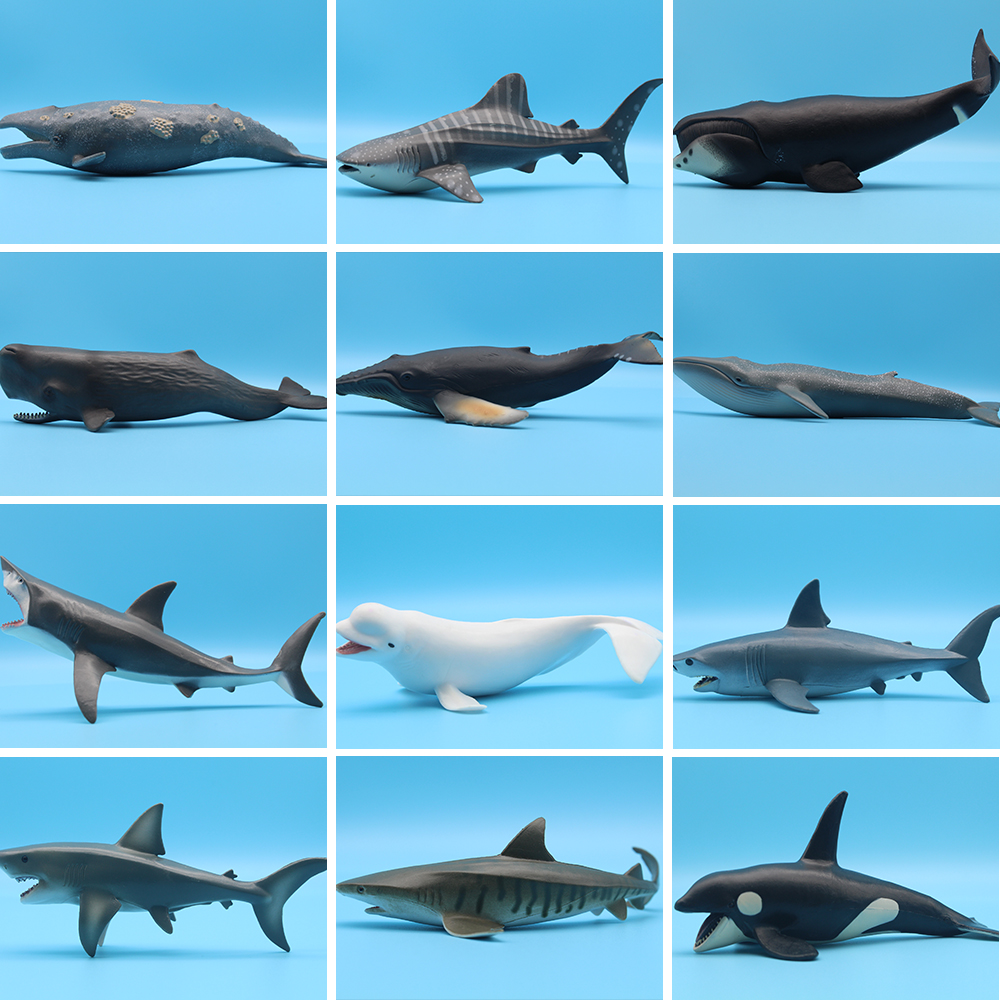 Ocean Sea Life Simulation Kill - Marine Life Aquariums review and price