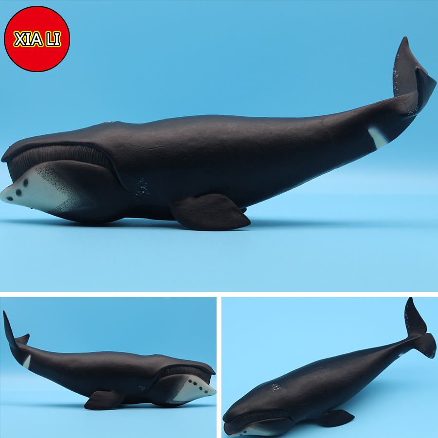 Ocean Sea Life Simulation Kill - Marine Life Aquariums review and price