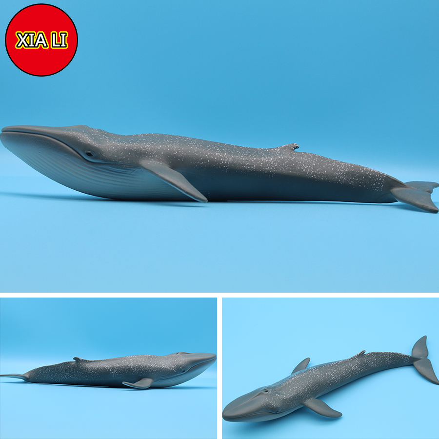 Ocean Sea Life Simulation Kill - Marine Life Aquariums review and price