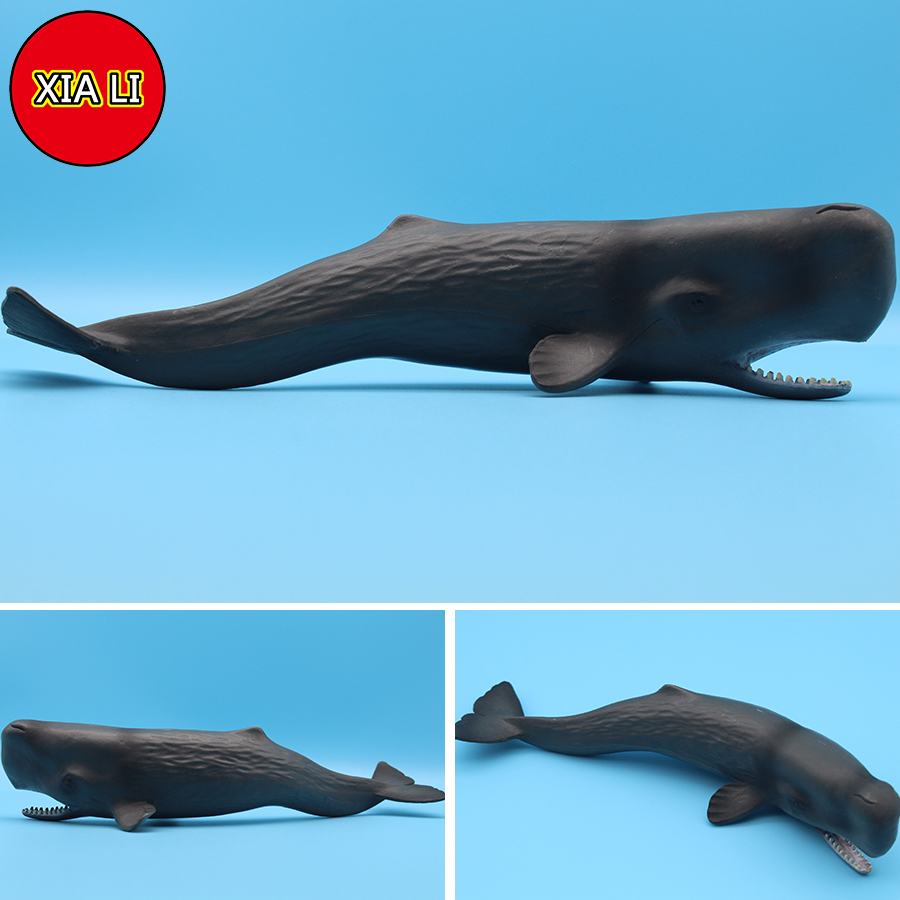 Ocean Sea Life Simulation Kill - Marine Life Aquariums review and price