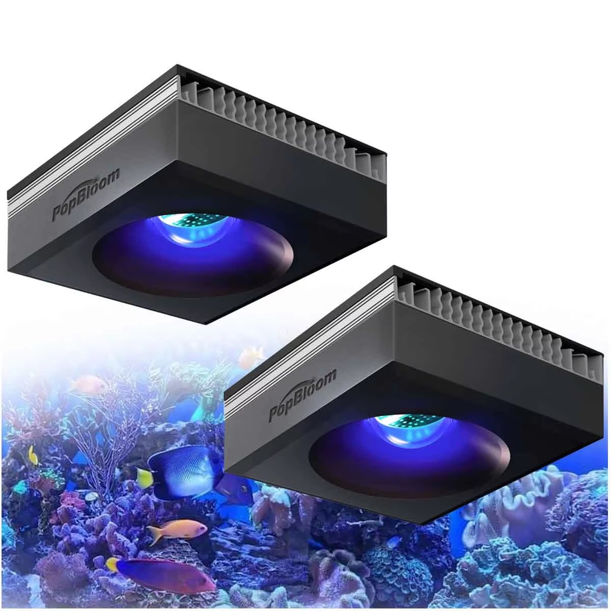 PopBloom RL90 WiFi Reef Aquari - Marine Aquarium Led Lights review and price
