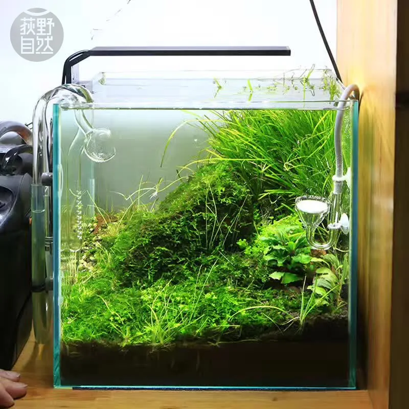 Chihiros C Series ADA Style Pl - Marine Aquarium Led Lights review and price