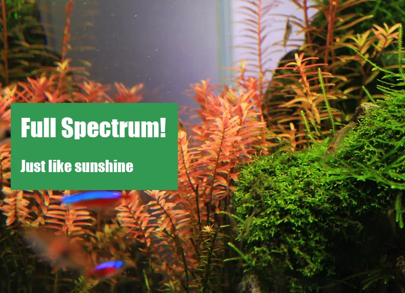 Chihiros C Series ADA Style Pl - Marine Aquarium Led Lights review and price
