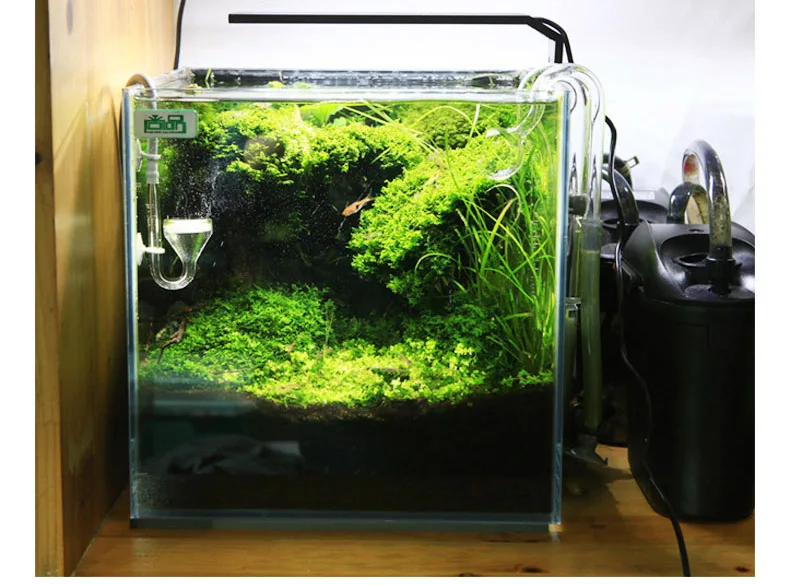 Chihiros C Series ADA Style Pl - Marine Aquarium Led Lights review and price