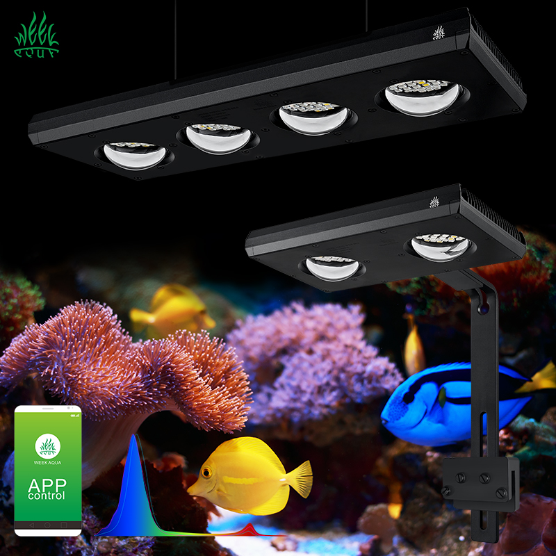 ZXY Hot Sale WEEKAQUA Z250 Z40 - Marine Aquarium Led Lights review and price