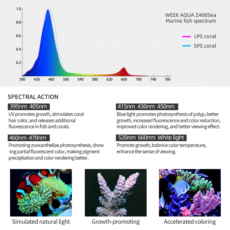 ZXY Hot Sale WEEKAQUA Z250 Z40 - Marine Aquarium Led Lights review and price
