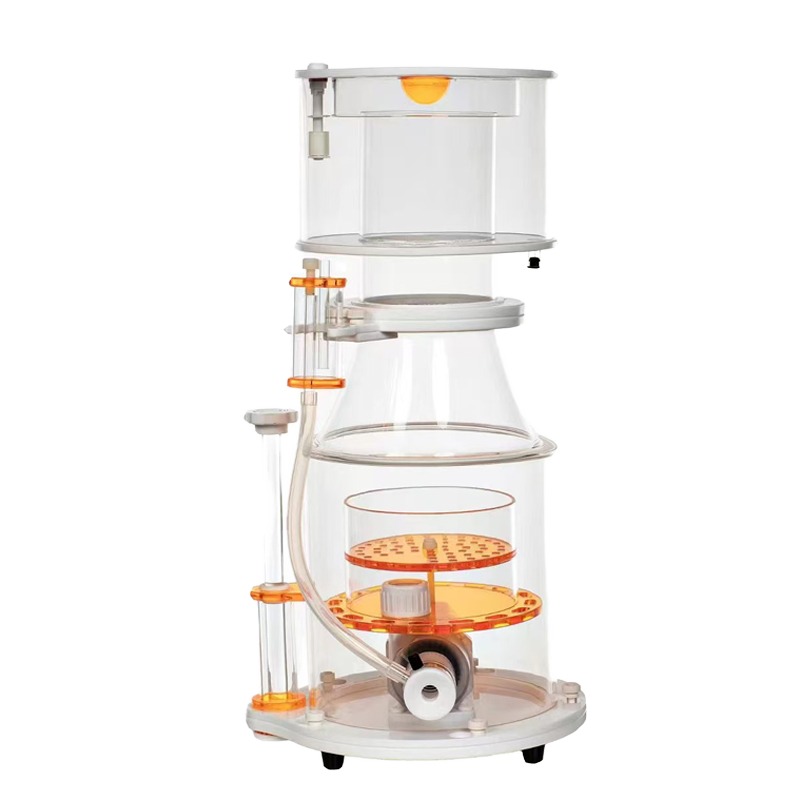 【Best-selling】DC Powered Preci - Aquarium & Marine Museum Universiti Malaysia Sabah Kota Kinabalu Sabah Photos review and price