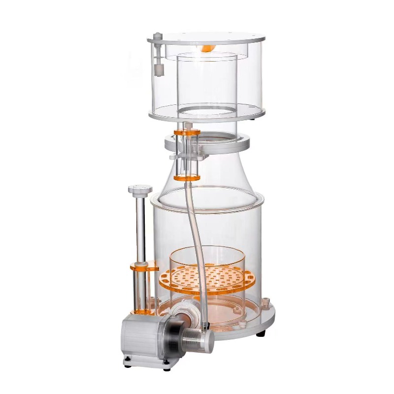 【Best-selling】DC Powered Preci - Aquarium & Marine Museum Universiti Malaysia Sabah Kota Kinabalu Sabah Photos review and price