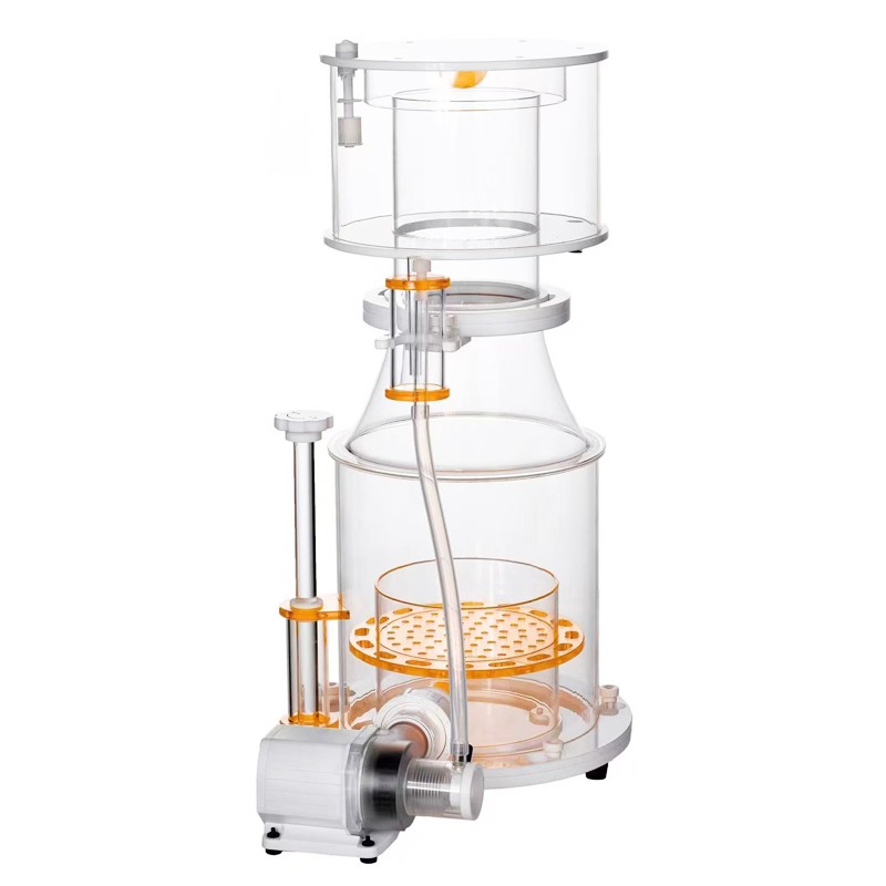 【Best-selling】DC Powered Preci - Aquarium & Marine Museum Universiti Malaysia Sabah Kota Kinabalu Sabah Photos review and price
