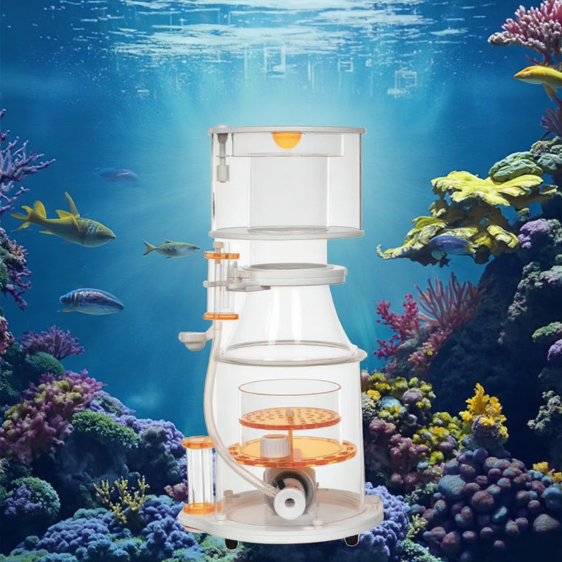 【Best-selling】DC Powered Preci - Aquarium & Marine Museum Universiti Malaysia Sabah Kota Kinabalu Sabah Photos review and price