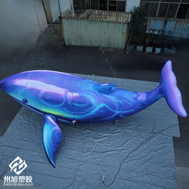 Inflatable blue whale, used as - Marine Aquarium Used review and price