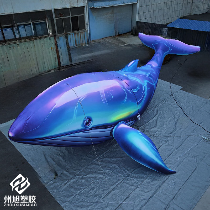 Inflatable blue whale, used as - Marine Aquarium Used review and price