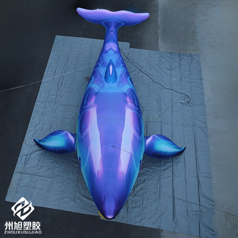 Inflatable blue whale, used as - Marine Aquarium Used review and price