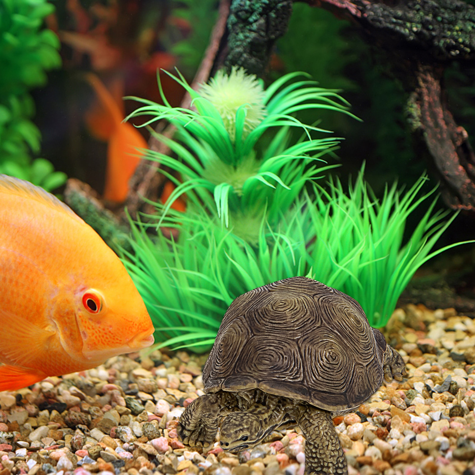 2Pcs Realistic Turtle Sculptur - Marine Life Aquariums review and price