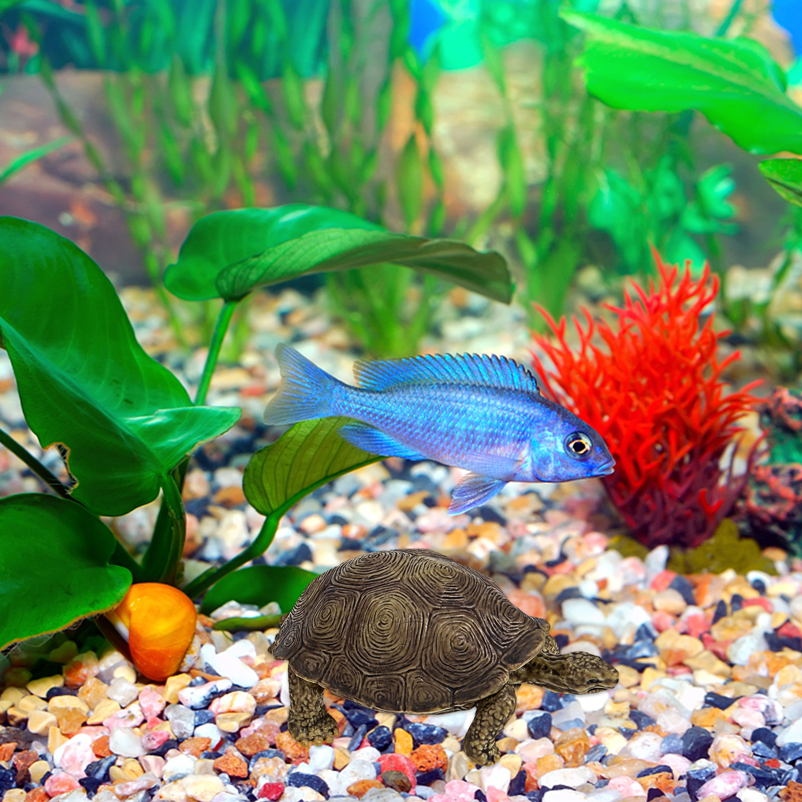 2Pcs Realistic Turtle Sculptur - Marine Life Aquariums review and price