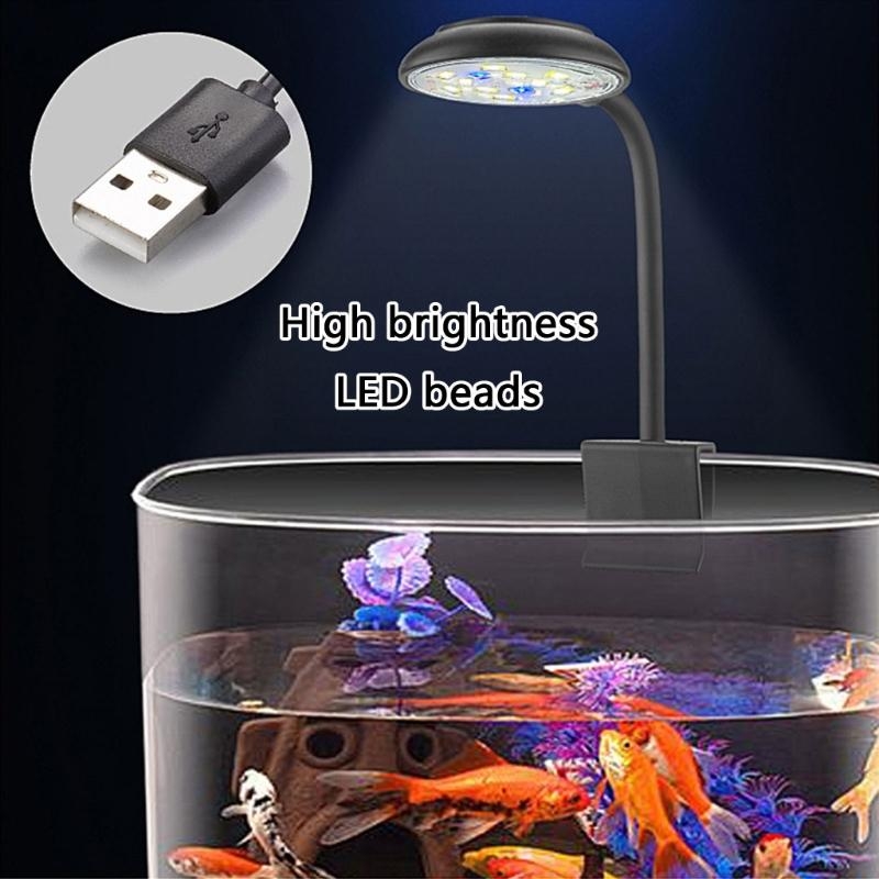 Adjusting Brightness LED Aquar - Marine Life Aquariums review and price