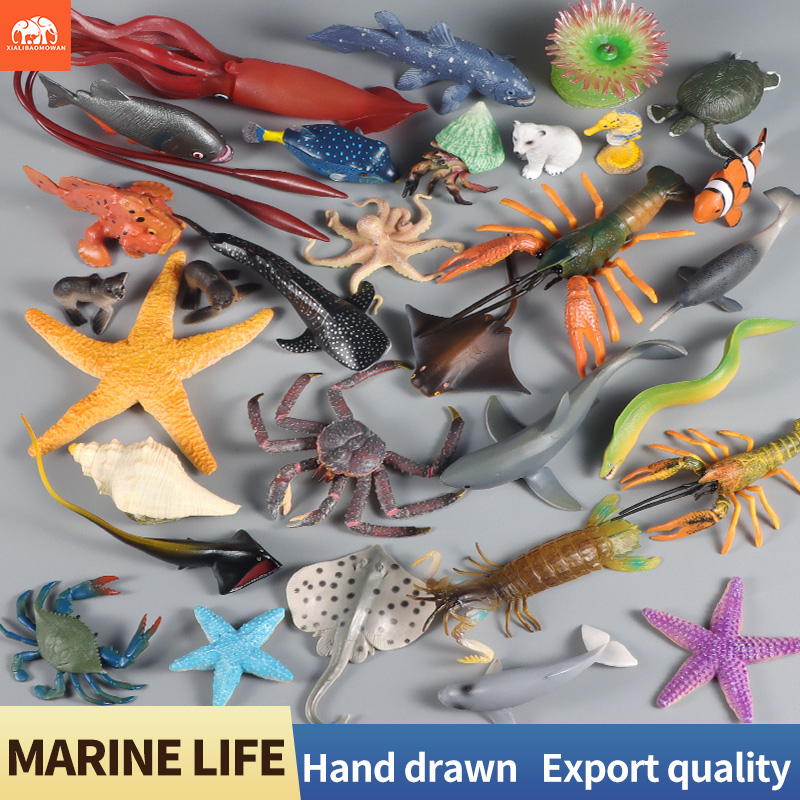 Sea Life Animal Action Figures - Marine Life Aquariums review and price